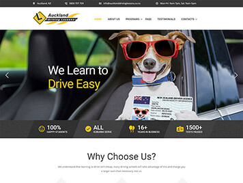 Our Works: Driving School Website